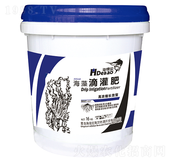 ����ι��-���Ì�