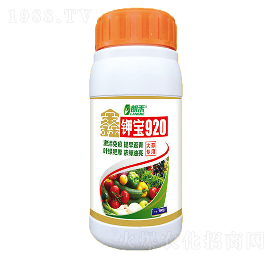 大蒜專用含氨基酸水溶肥料-鉀寶920-嘉華生物