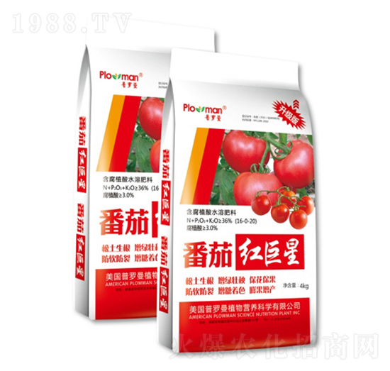 含腐植酸水溶肥料-番茄紅-陽光肥業(yè)