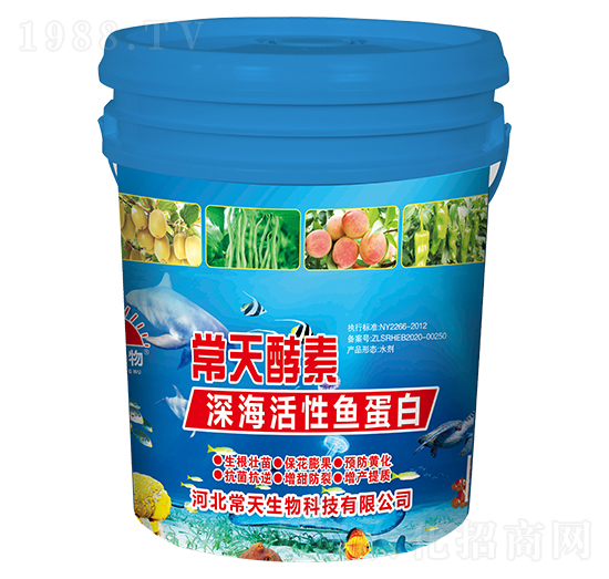 深?；钚贼~蛋白-常天酵素-常天生物