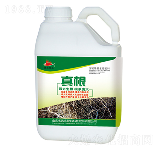 真根-遠(yuǎn)東肥料