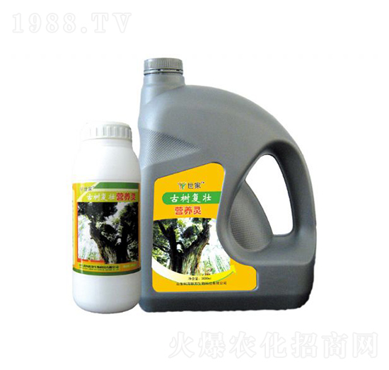 古樹復(fù)壯營(yíng)養(yǎng)靈-世家-科海聯(lián)邦