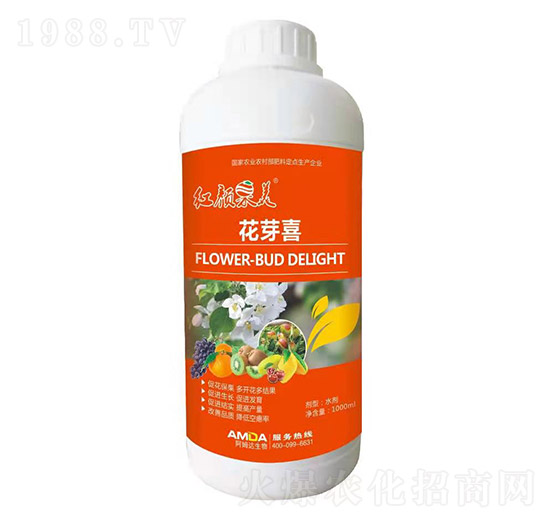 花芽喜-紅顏果美-阿姆達(dá)