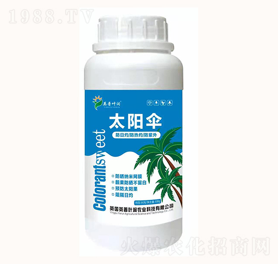 太陽傘-英普葉潤