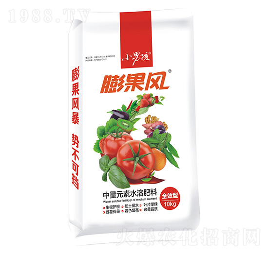 中量元素水溶肥-膨果風(fēng)-小男孩-波爾森