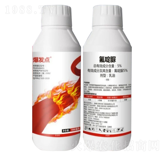 5%�����-���l(f��)�c(di��n)������棩-��֮��