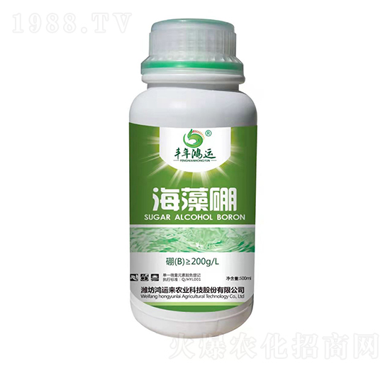 ������-�S�����\(y��n)-���\(y��n)��