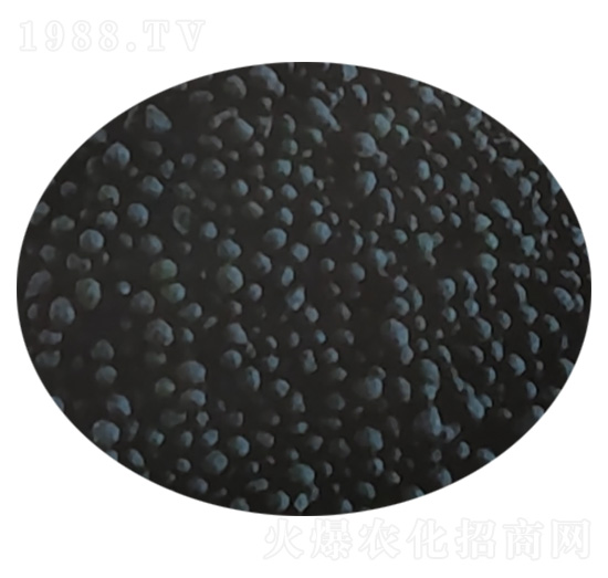 粒狀有機(jī)肥 騰運(yùn)生物