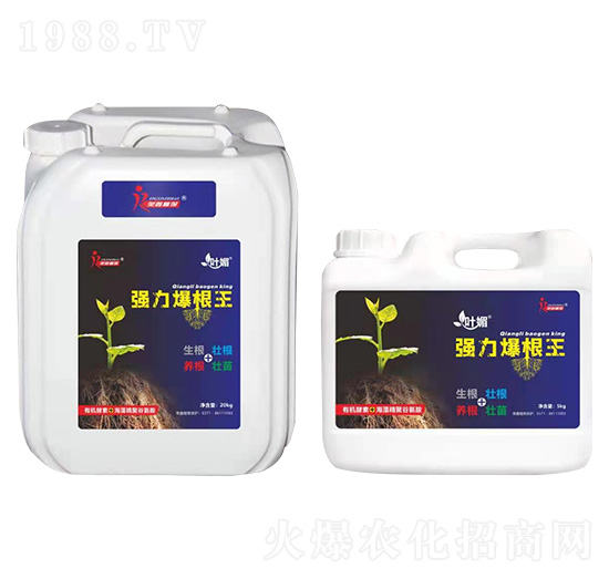 強力爆根王-葉媚-榮鑫植保