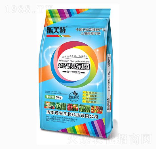 ������ھ�-������-�ŵ�����