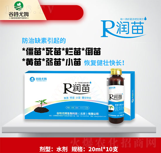 潤(rùn)苗-黃苗、弱苗、小苗健壯快長(zhǎng)-谷特尤姆