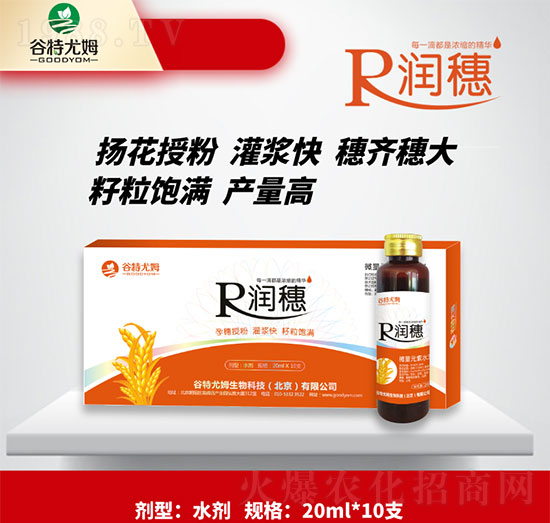 潤(rùn)穗-孕穗授粉，灌漿快，籽粒飽滿-谷特尤姆