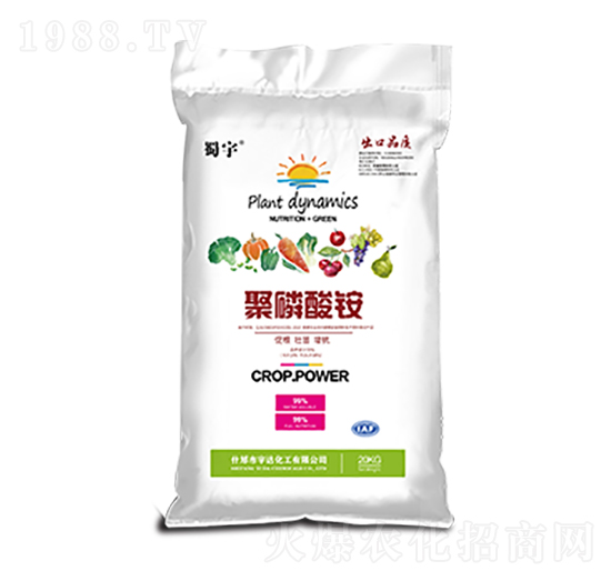 �������@ ���� ���_����