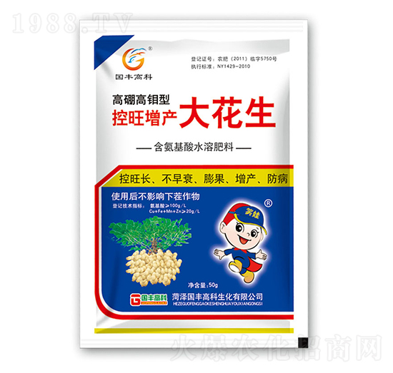 高硼高鉬型控旺增產(chǎn)大花生-國豐高科