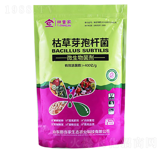 枯草芽孢桿菌-田當家