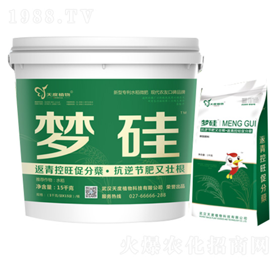 夢(mèng)硅-天度植物