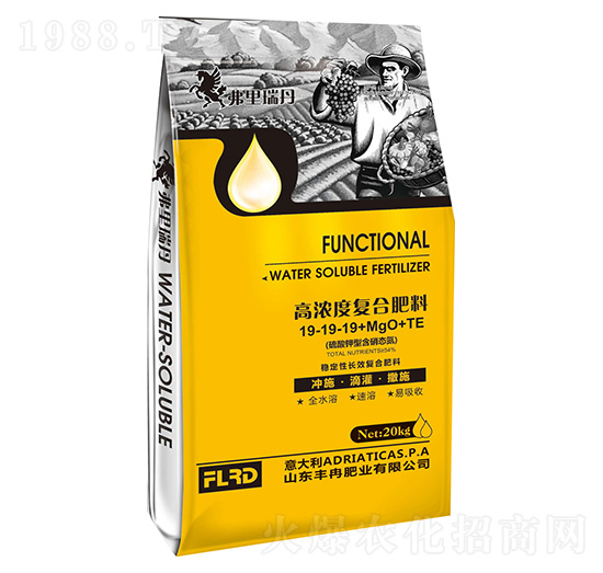 高濃度復合肥料19-19-19+MgO+TE 豐冉肥業(yè)