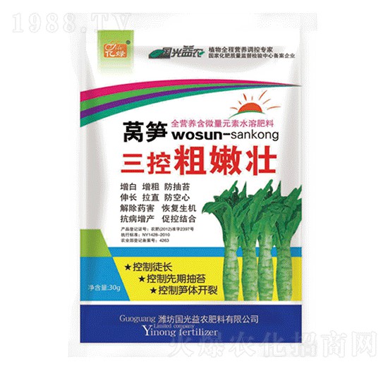 萵筍三控粗嫩壯-國(guó)光益農(nóng)