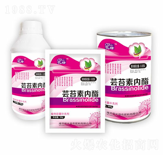 蕓苔素內(nèi)酯組合-國(guó)光益農(nóng)