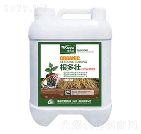 根多壯-金吉達(dá)