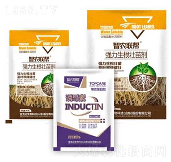 生根壯苗劑-金吉達