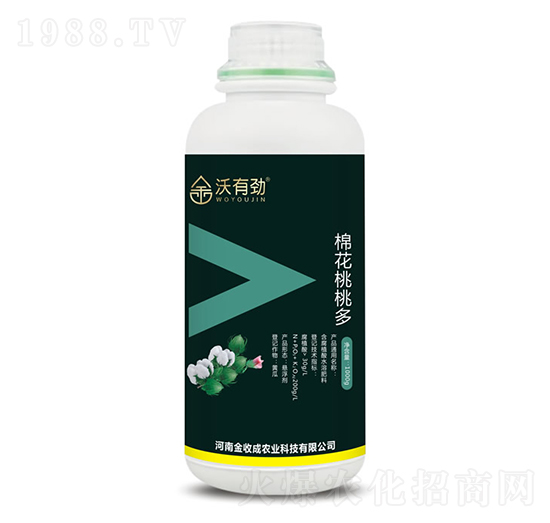 棉花桃桃多-沃有勁-金收成