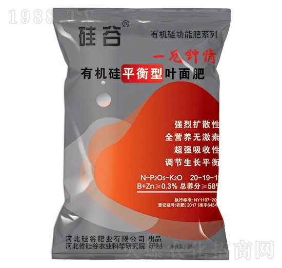 有機(jī)硅平衡型葉面肥-硅谷化工