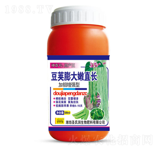 豆莢膨大嫩直長-圣氏潤