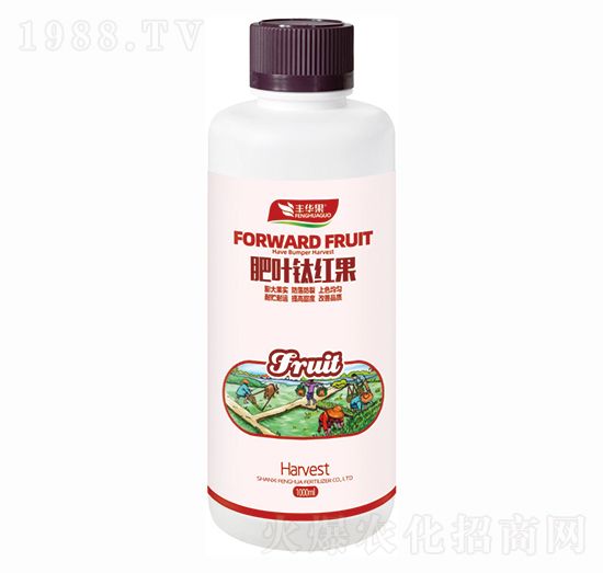 肥葉鈦紅果-豐華果-豐華肥業(yè)