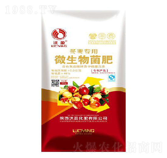 冬棗專(zhuān)用微生物菌劑-沃盈生物
