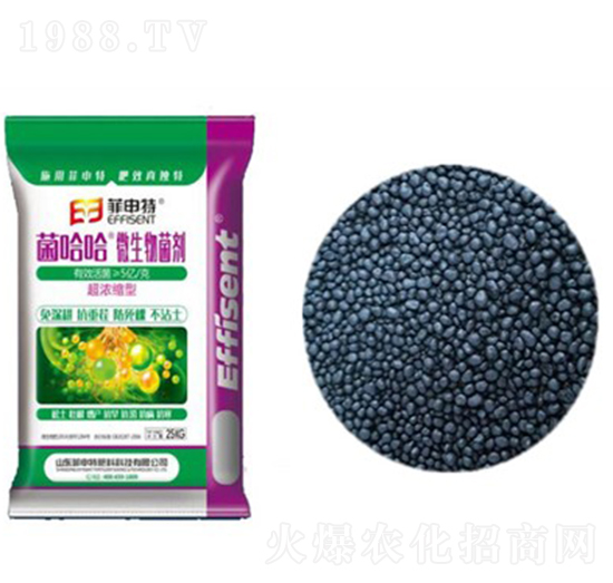 菌哈哈微生物菌劑-菲申特