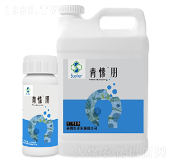 青愫朋-世多樂(lè)