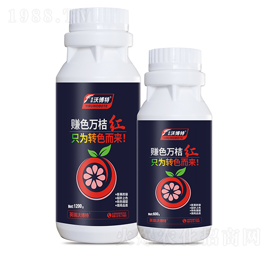 賺色萬桔紅-英瑞沃博特