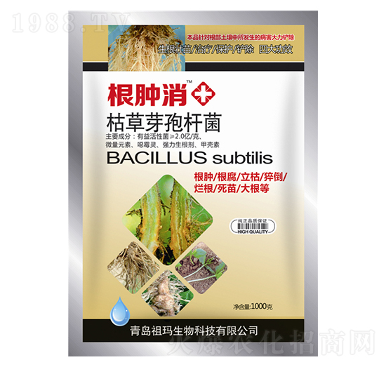 枯草芽孢桿菌-根腫消-祖瑪-允發(fā)化工