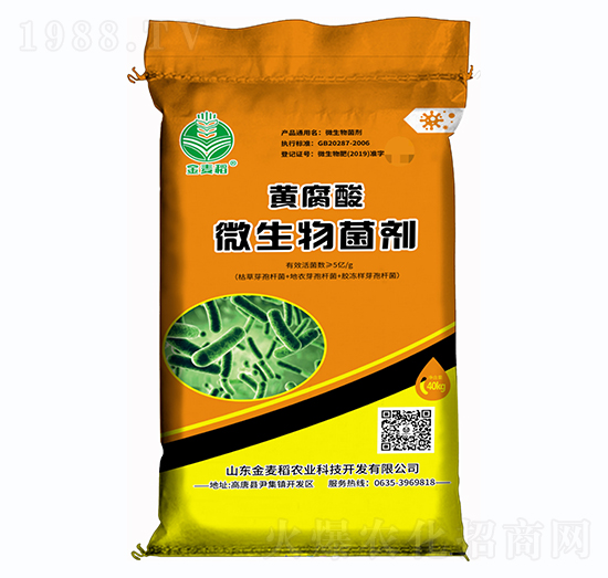 �S����΢�������-������