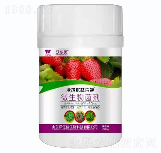 微生物菌劑-草莓沃爾優(yōu)益片凈-沃爾優(yōu)