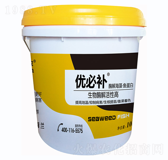 酶解海藻魚蛋白-優(yōu)必補(bǔ)-鑫垚生物