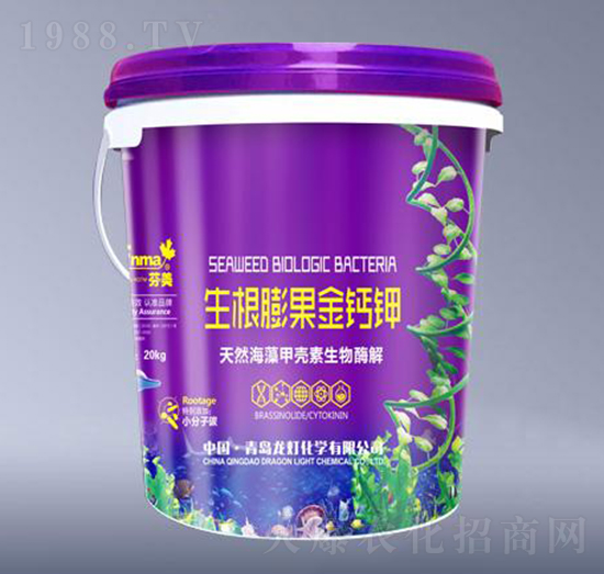 生根膨果金鈣鉀-芬美-龍燈