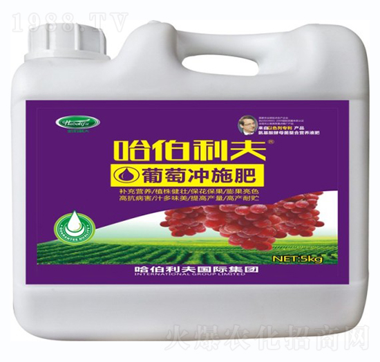 ���ь�(zhu��n)�Û_ʩ��-��������