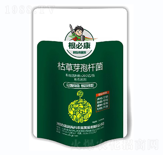 枯草芽孢桿菌-根必康-盛潤高科