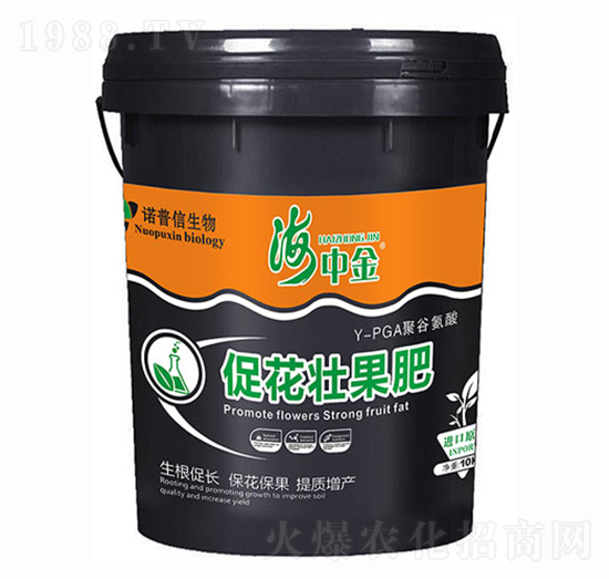 促花壯果肥-海中金-諾普信