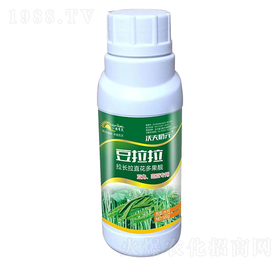 豆角蕓豆專(zhuān)用拉長(zhǎng)拉直花多果靚-豆拉拉-沃夫奶元-金沃夫農(nóng)業(yè)