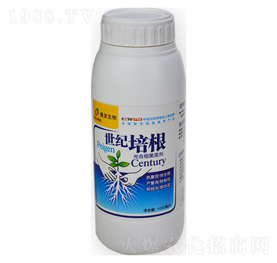 ��ϼ�������-���o(j��)���-��������