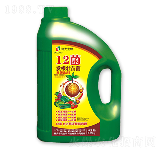 12���l(f��)�������-��������