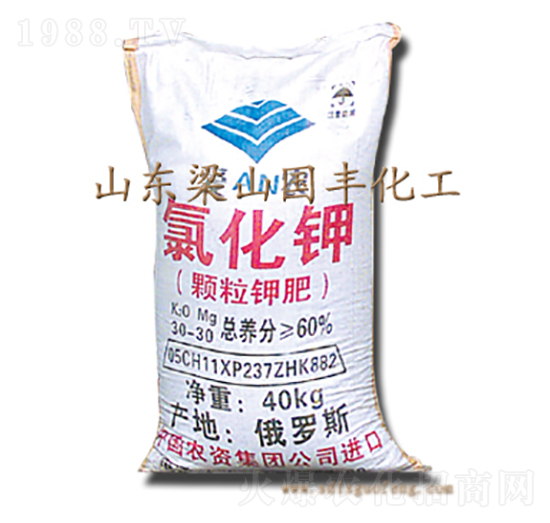 氯化鉀-國(guó)豐肥業(yè)
