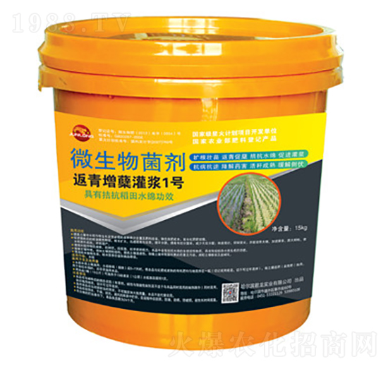 返青增蘗孕穗拮抗水綿-君龍實業(yè)