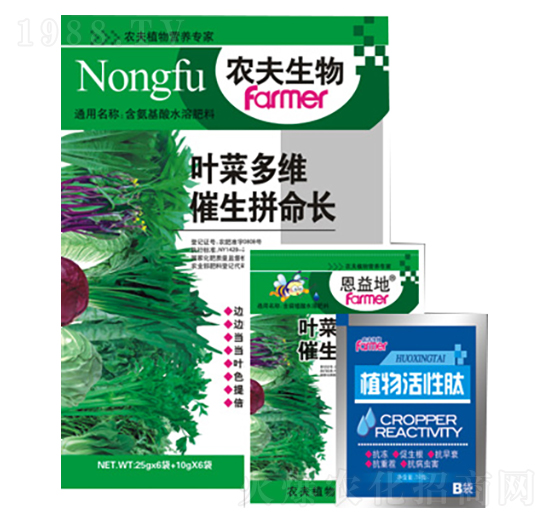 葉菜多維催生拼命長-農(nóng)夫