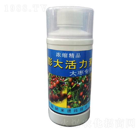 大棗專用-膨大活力素-梁山泰豐