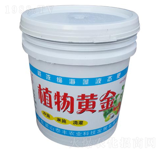 超濃縮海藻液態(tài)肥-植物黃金-梁山泰豐