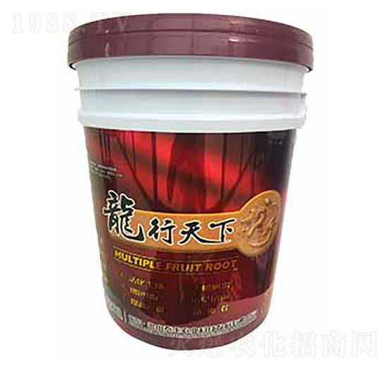 龍行天下-梁山泰豐